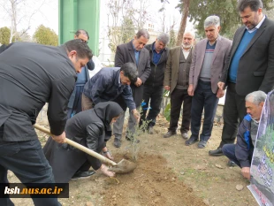 توسط رئیس دانشگاه ملی مهارت استان کرمانشاه انجام شد
کاشت نهال در محوطه دانشگاه ملی مهارت استان 
 2