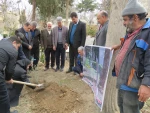 توسط رئیس دانشگاه ملی مهارت استان کرمانشاه انجام شد
کاشت نهال در محوطه دانشگاه ملی مهارت استان 
 5