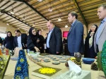 برگزاری نمایشگاه دستاوردهای دانشجویان دانشگاه ملی مهارت استان کرمانشاه 2