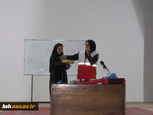 تشکیل کارگاه ضمن خدمت ایمنی و کمک های اولیه در دانشگاه ملی مهارت استان کرمانشاه 6