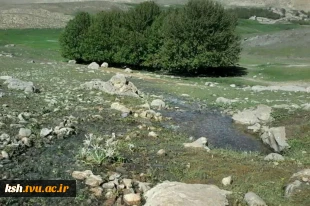 بازدید علمی دانشجویان معماری آموزشکده ملی مهارت دختران کرمانشاه از روستای سرماج 4