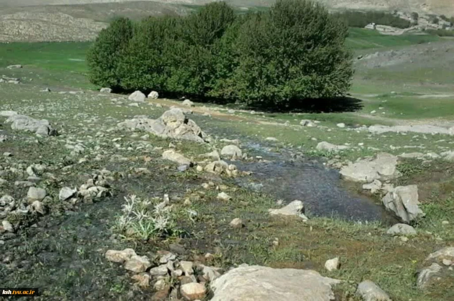 بازدید علمی دانشجویان معماری آموزشکده ملی مهارت دختران کرمانشاه از روستای سرماج 4