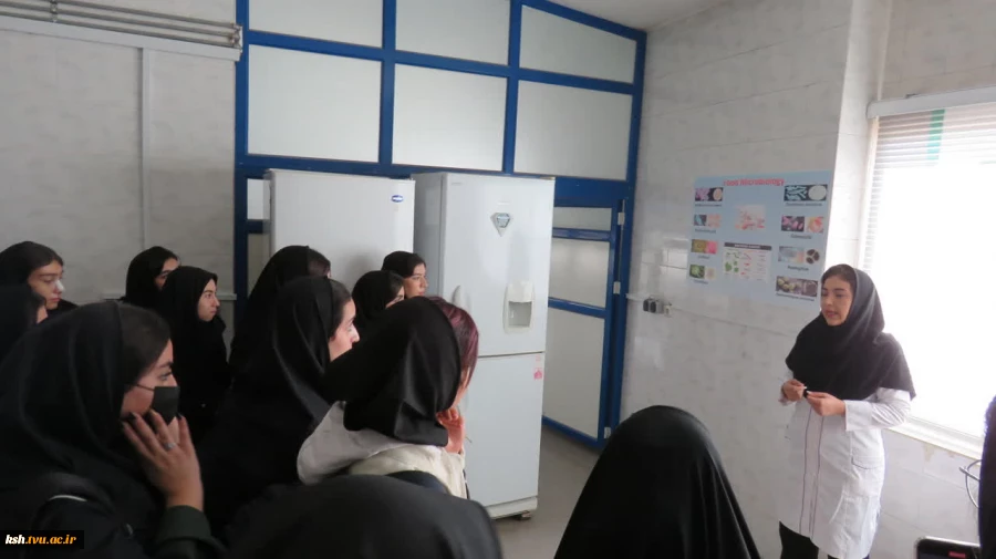 اجرای تور صنعتی دانشجویان دانشگاه ملی مهارت دختران کرمانشاه در اداره استاندارد 3