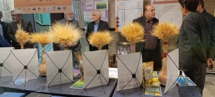 بازدید مدیرکل دفتربرنامه ریزی، بودجه و تحول اداری استانداری کرمانشاه از نمایشگاه پژوهش و فناوری اسلام آبادغرب 16