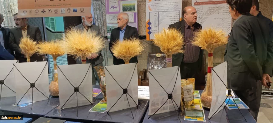 بازدید مدیرکل دفتربرنامه ریزی، بودجه و تحول اداری استانداری کرمانشاه از نمایشگاه پژوهش و فناوری اسلام آبادغرب 16